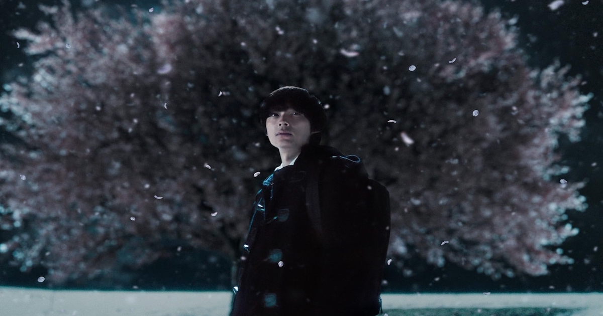 櫻花飄落的速度依然是秒速5公分，但遺憾卻被延長了兩小時？真人版《秒速5公分》是毀神作還是給大人的遲來情書